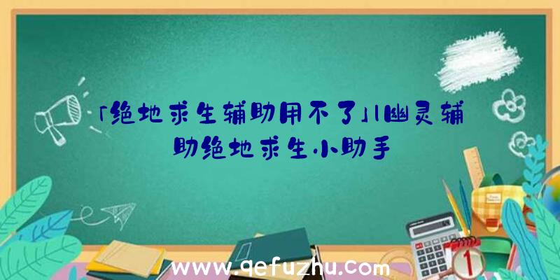 「绝地求生辅助用不了」|幽灵辅助绝地求生小助手